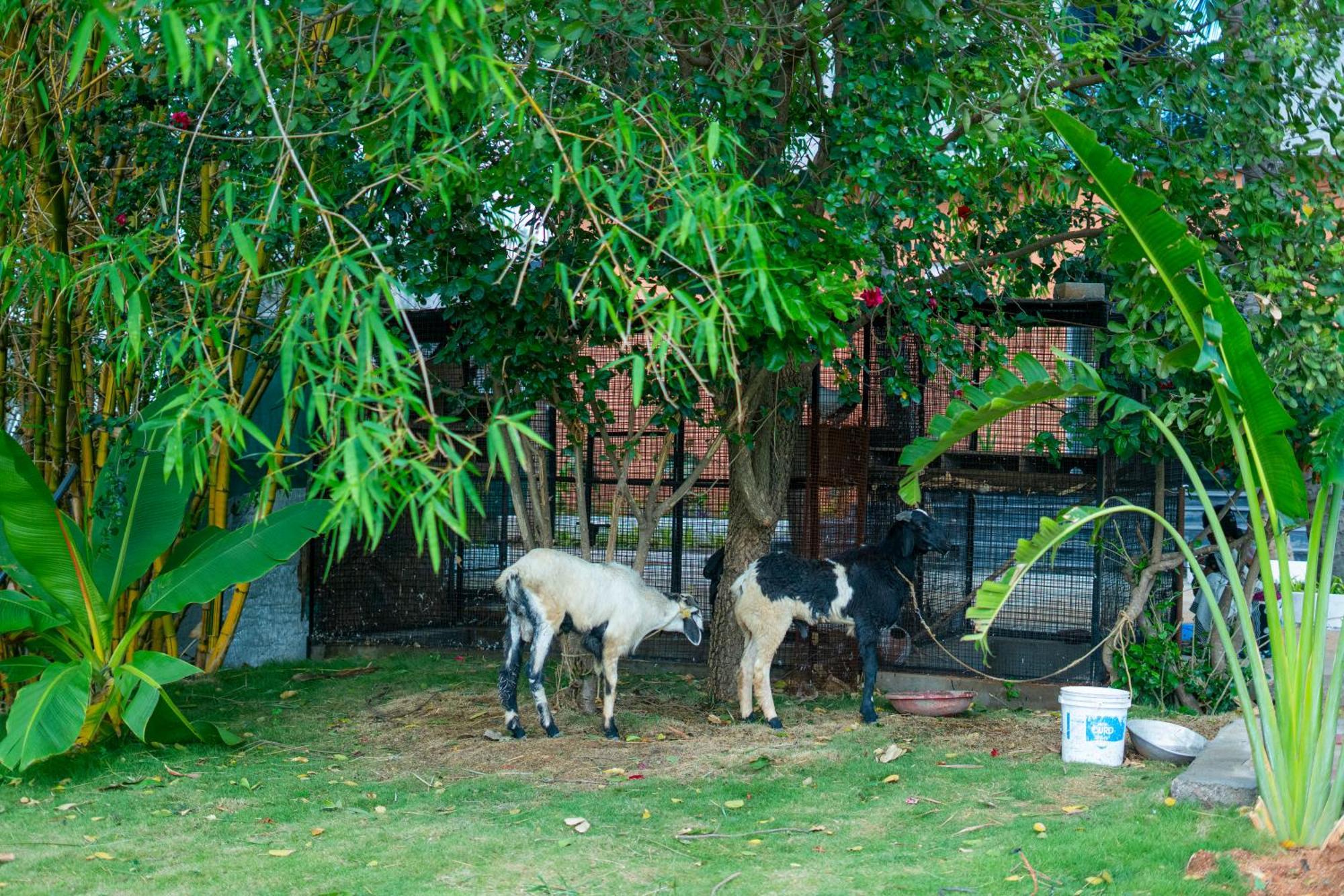 Serene Resort Hyderabad Shamshabad Luaran gambar